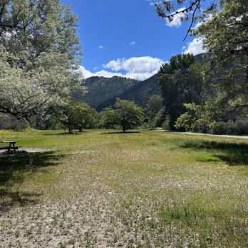 Jacobs Park Dog Park